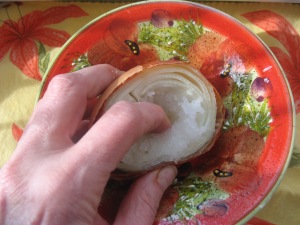 holistic health tip onions and warts